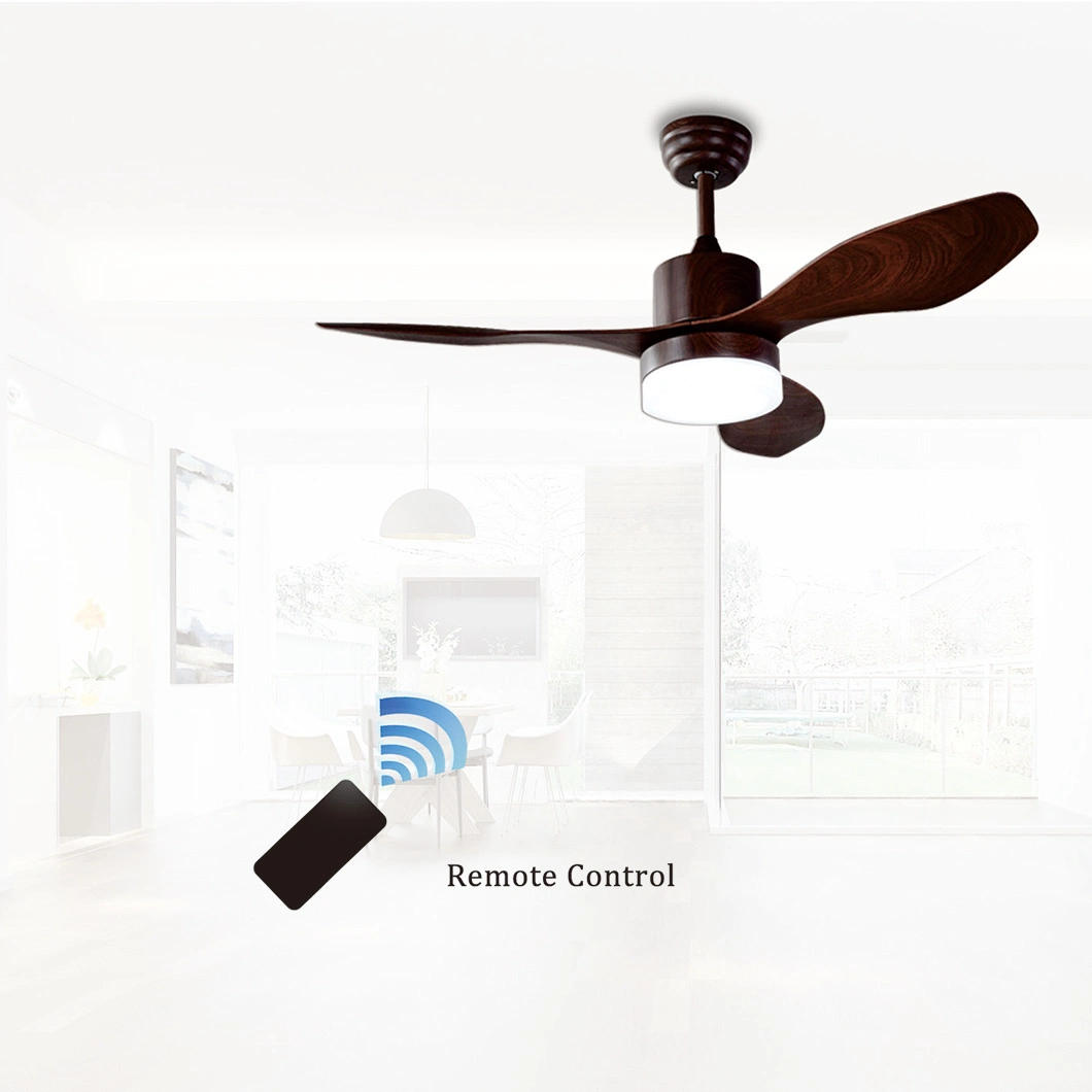 Factory Sale 48 Inch Modern Decorative LED Electric Ceiling Fan with Fancy Light