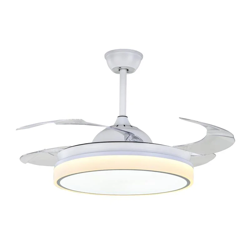 Modern Minimalist Interior Light Bedroom Dining Room LED Ceiling Fan